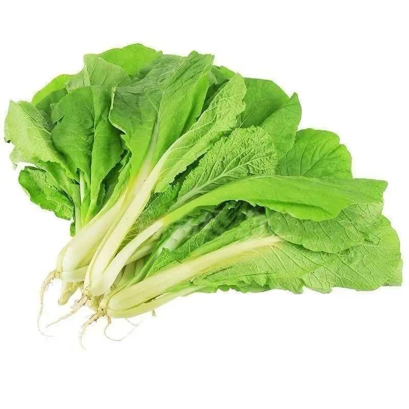 The method of growing cabbage in summer