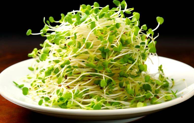 The method of planting sprouts