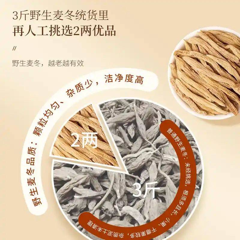 养生网站排名