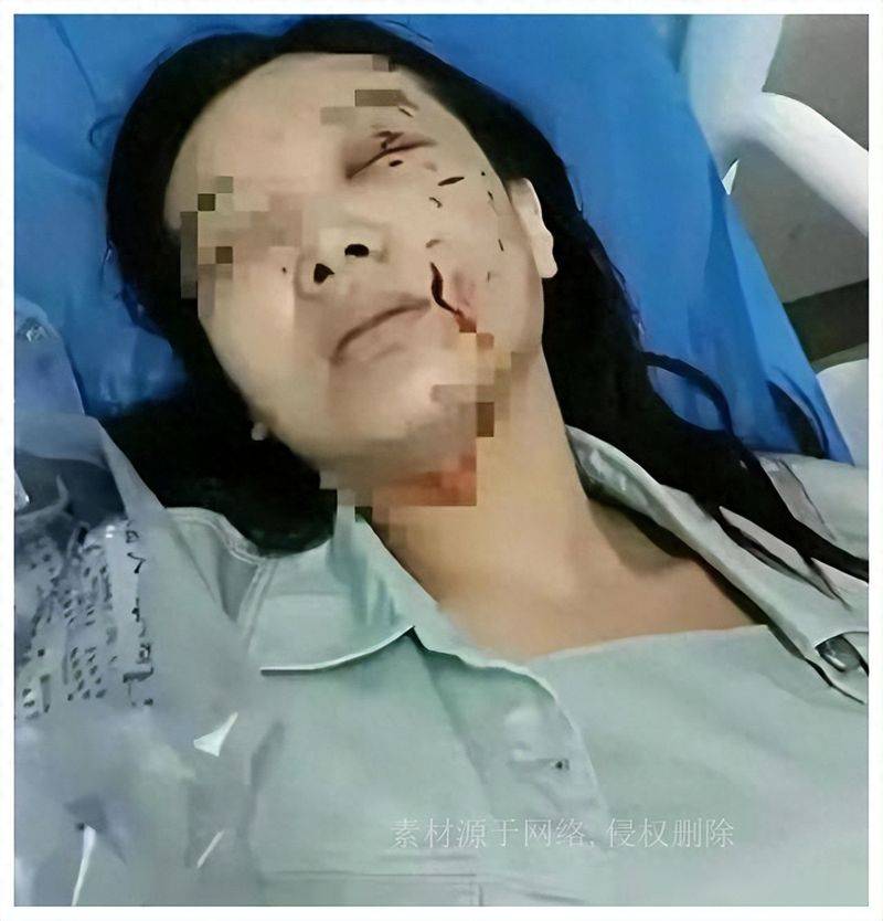 松狮幼犬多少钱一只