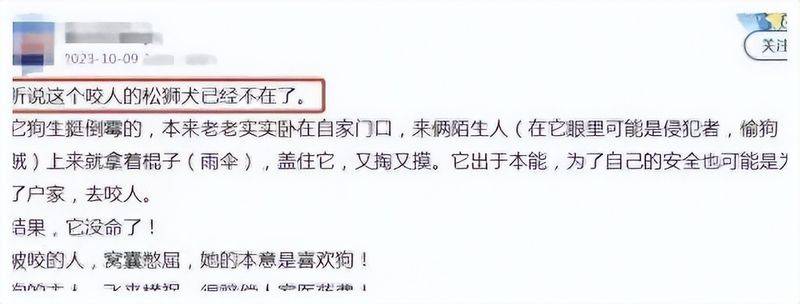松狮幼犬多少钱一只