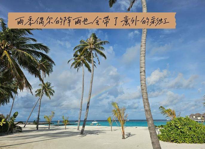 国际酒店预订网站排名