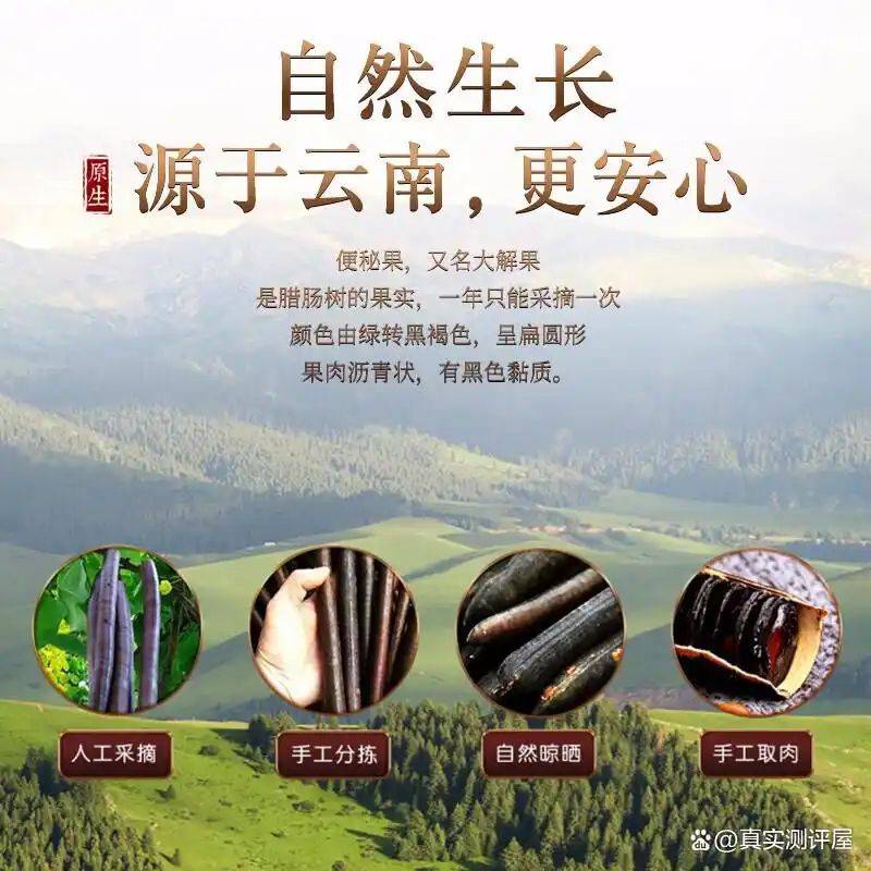 养生网站排名