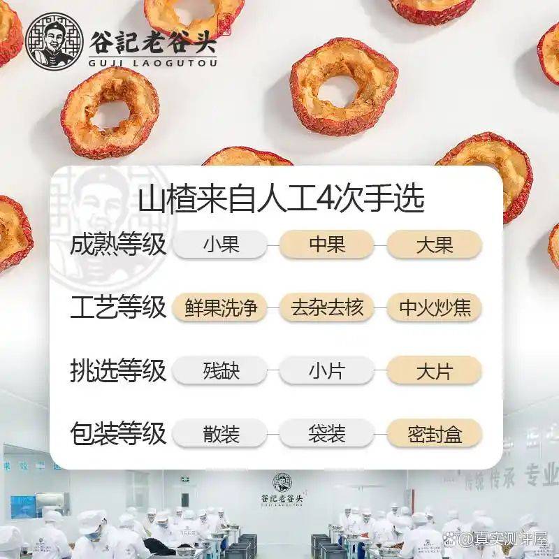 养生网站排名