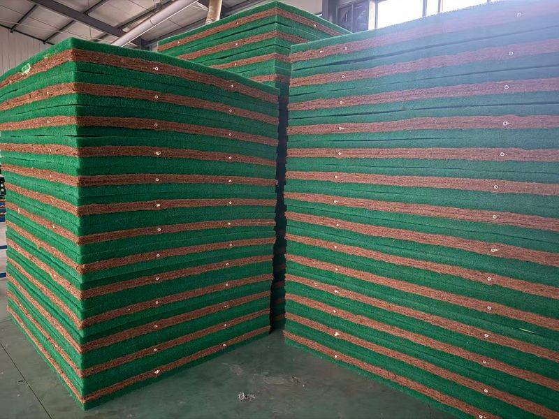 Technology for the cultivation of flowers