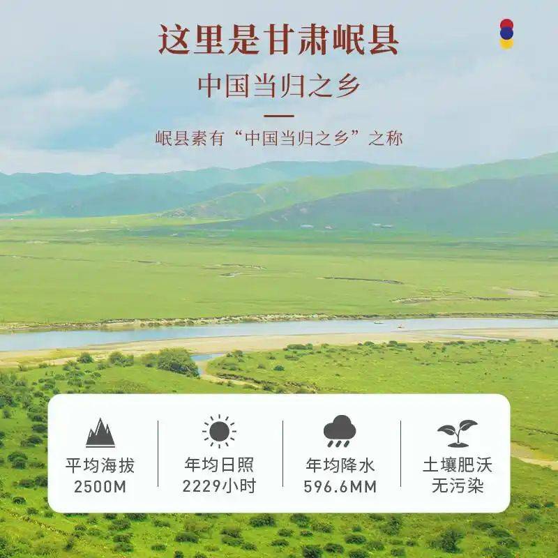 养生网站排名