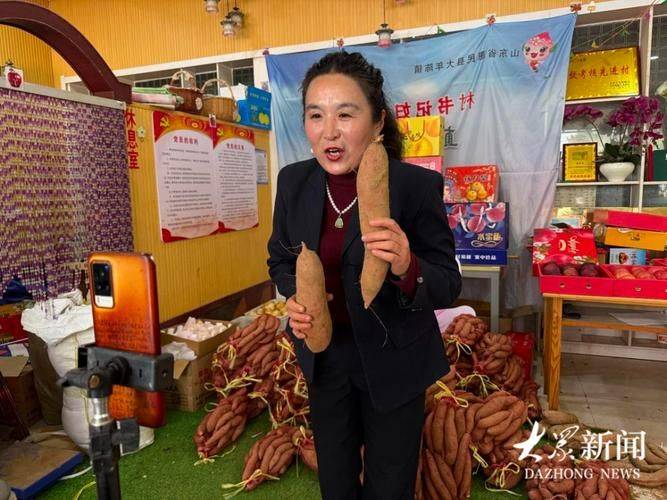 Potato growing technology in shandong