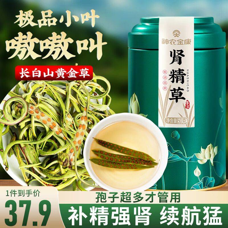 养生网站排名