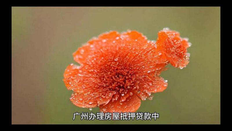 二手房按揭费用