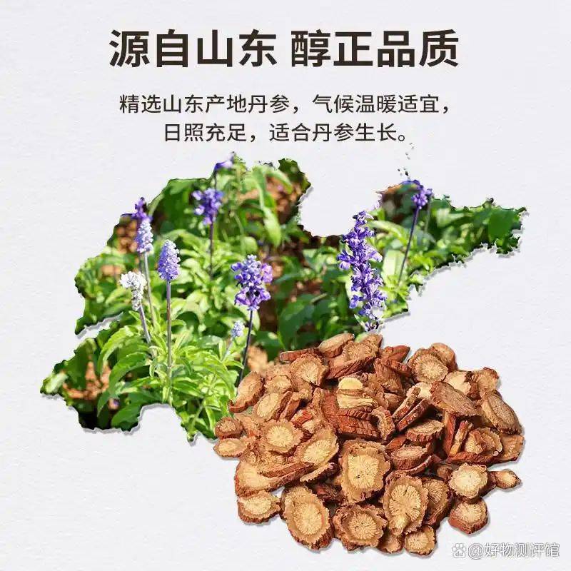 养生网站排名