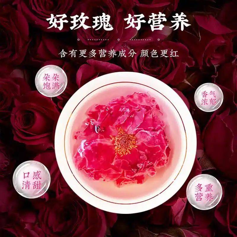 养生网站排名