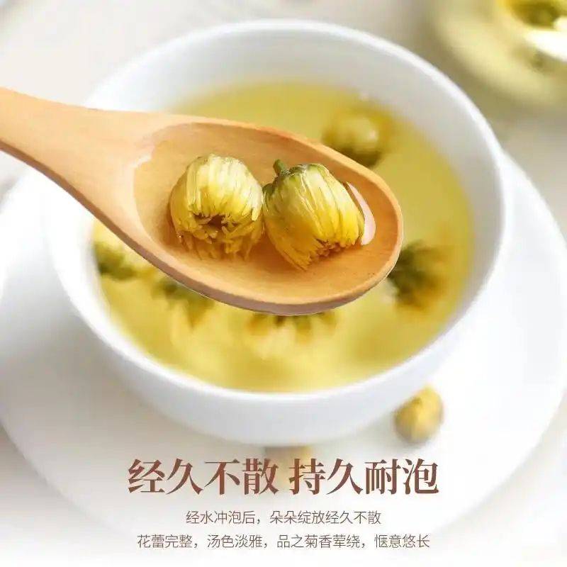 养生网站排名