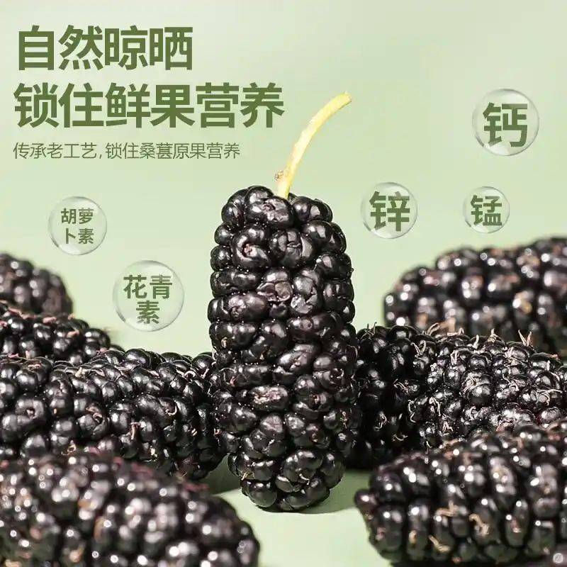 养生网站排名