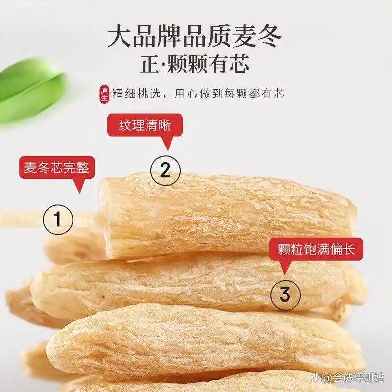 养生网站排名