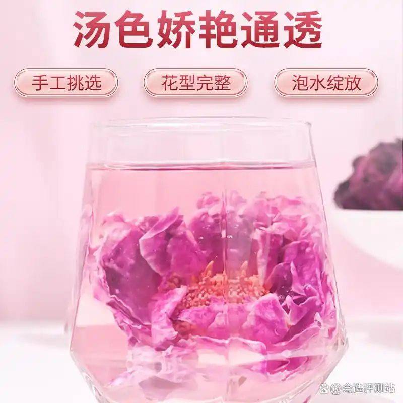 养生网站排名