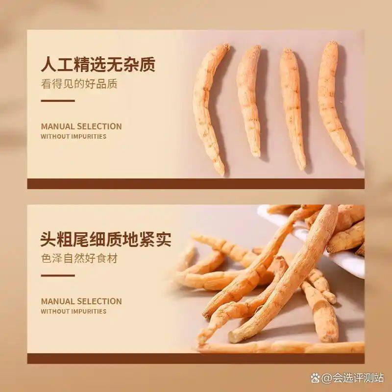 养生网站排名