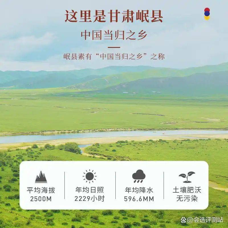 养生网站排名