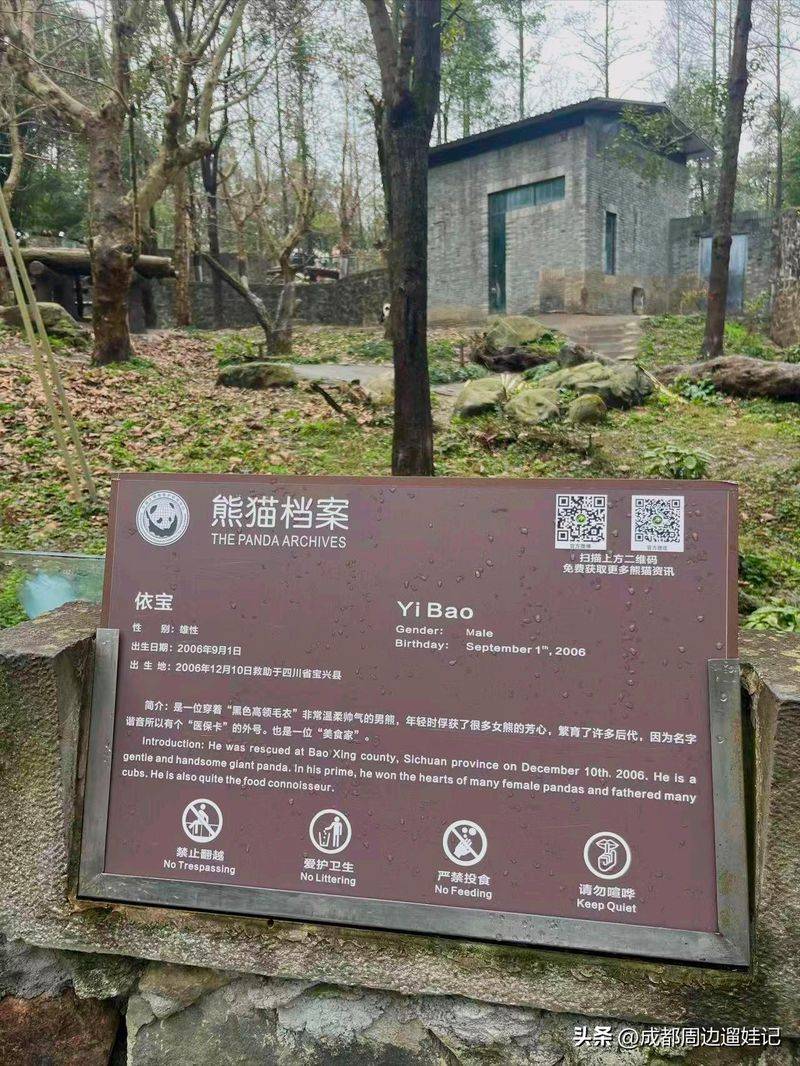 How much is chengdu carrying a panda