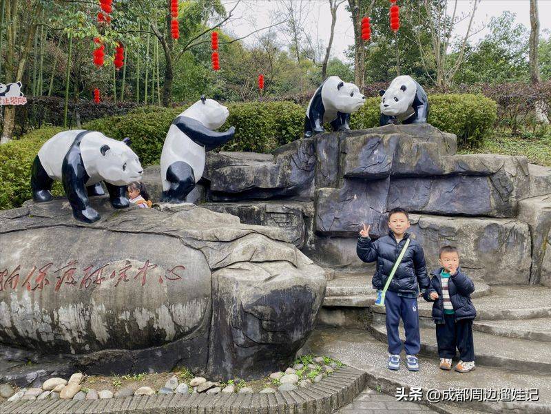 How much is chengdu carrying a panda