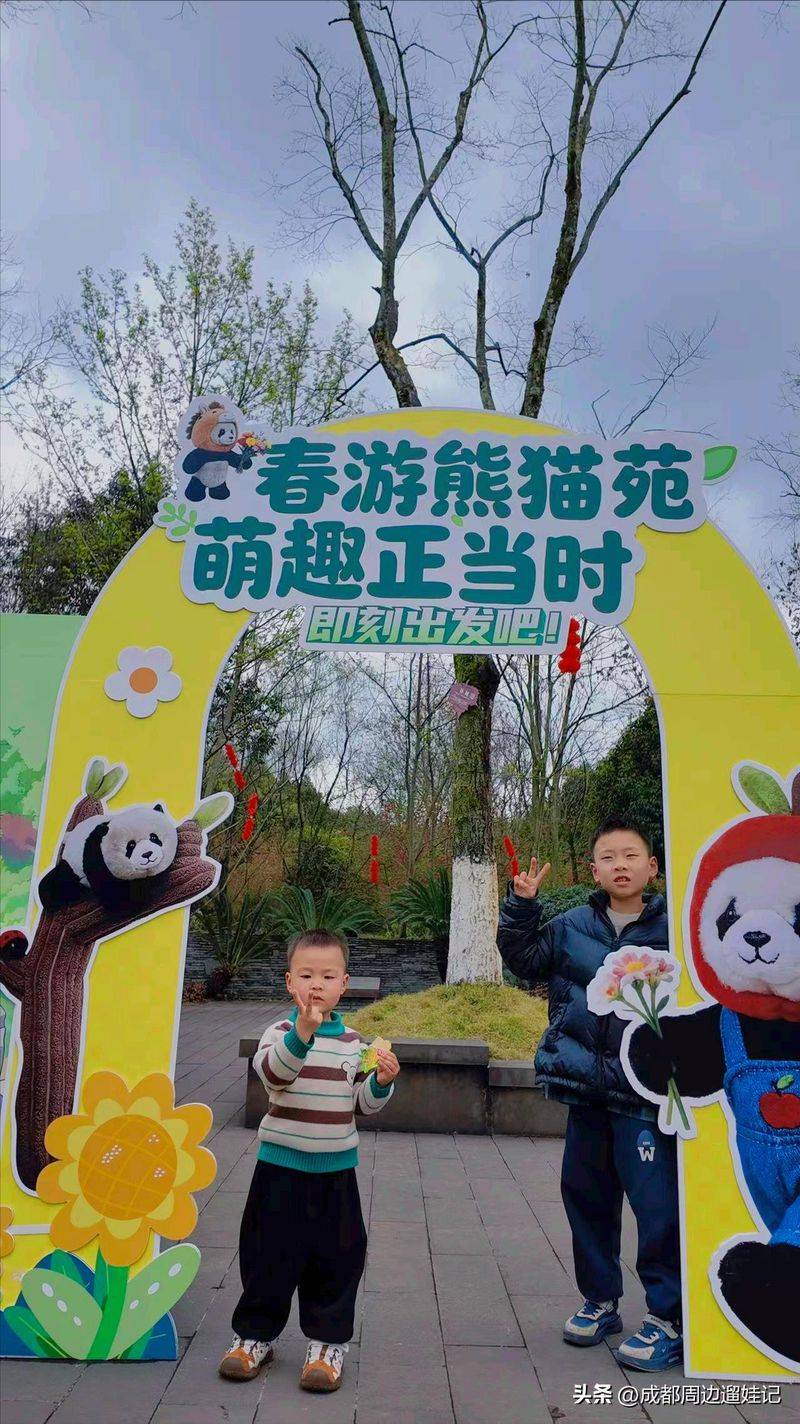 How much is chengdu carrying a panda