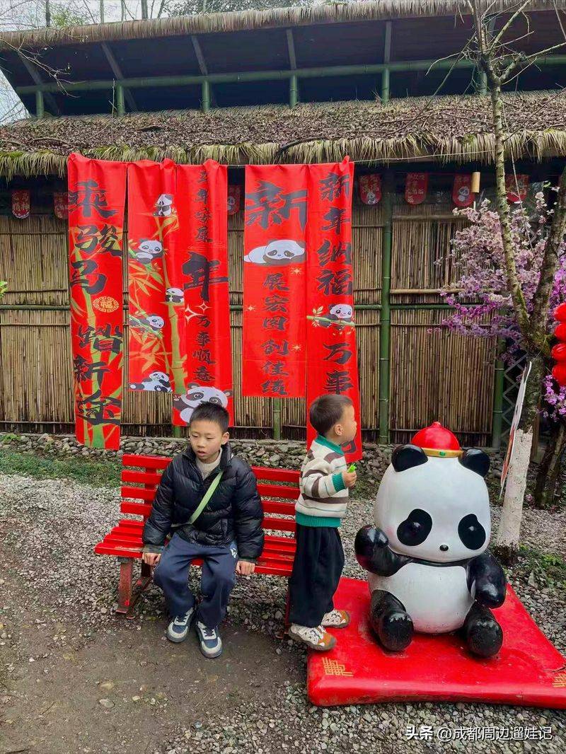 How much is chengdu carrying a panda