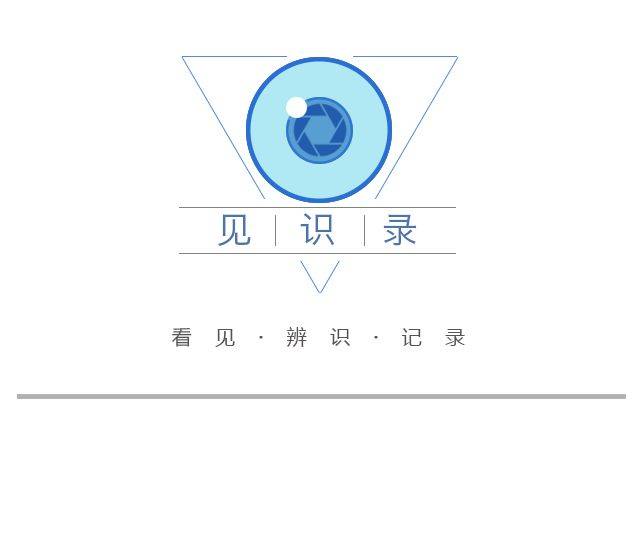 上海 581手表价位