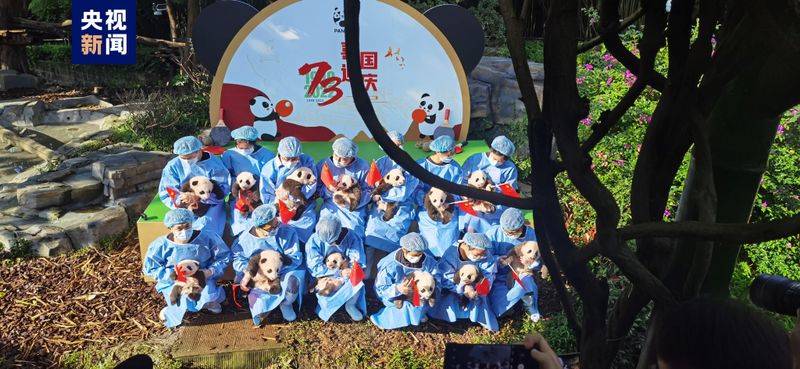How much is chengdu carrying a panda