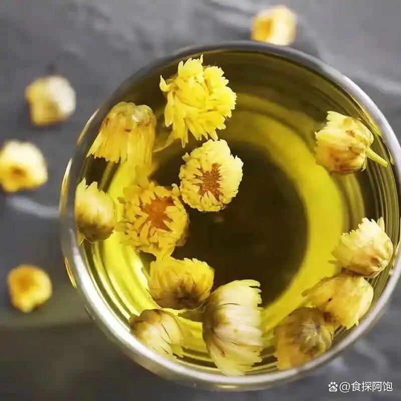 养生网站排名