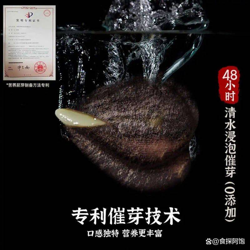 养生网站排名