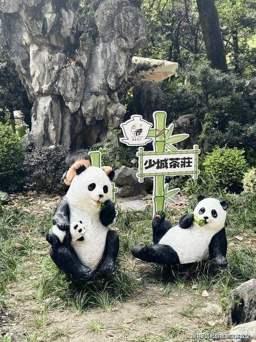 How much is chengdu carrying a panda