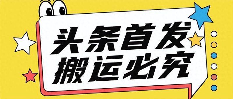 松狮幼犬多少钱一只