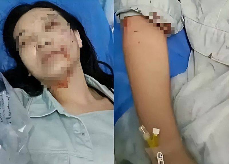 松狮幼犬多少钱一只