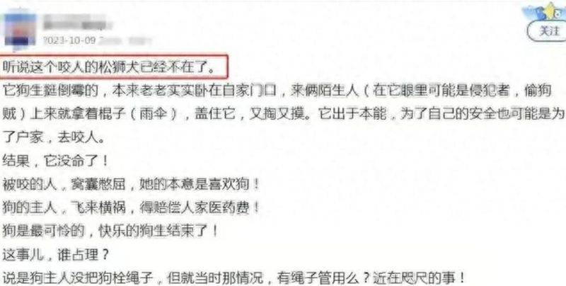 松狮幼犬多少钱一只
