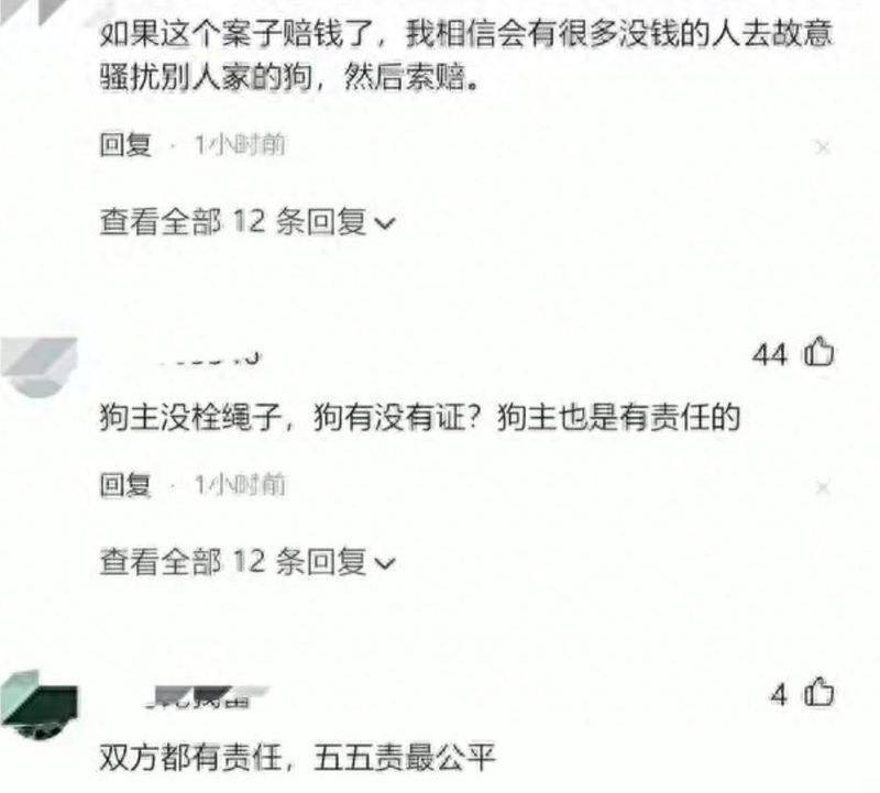 松狮幼犬多少钱一只