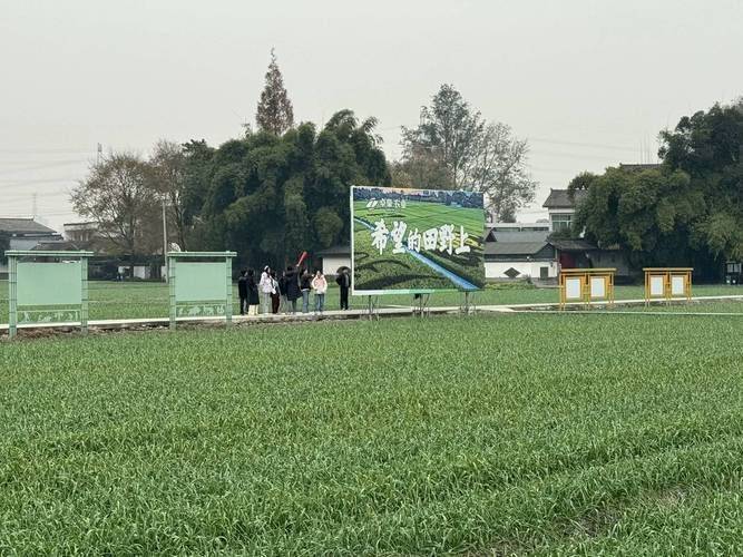 四川农业大学暑期社会实践金融知识普及策划书