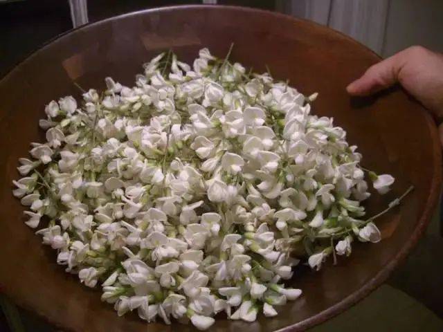 Cultivation methods