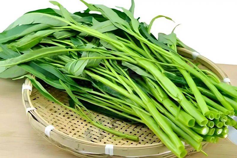 Vacant vegetable cultivation methods (charts)