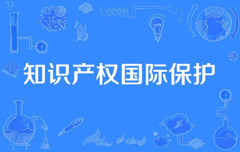 知识产权国际保护论文