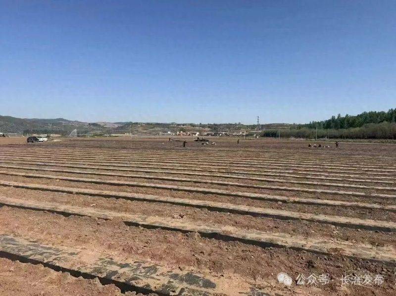名贵中药材种植技术