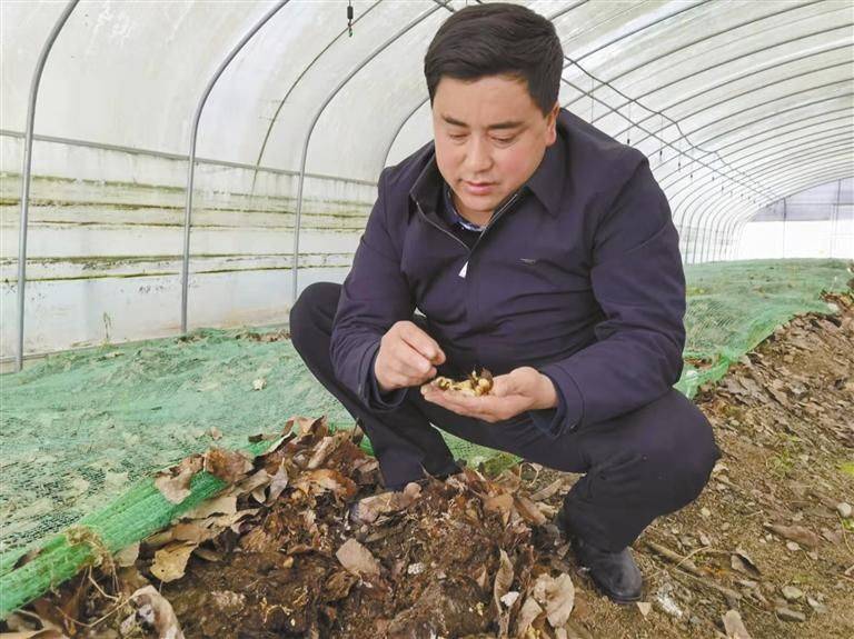 Technological aspects of indoor cultivation