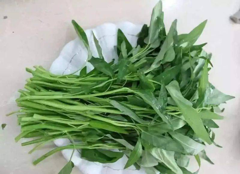 Vacant vegetable cultivation methods (charts)