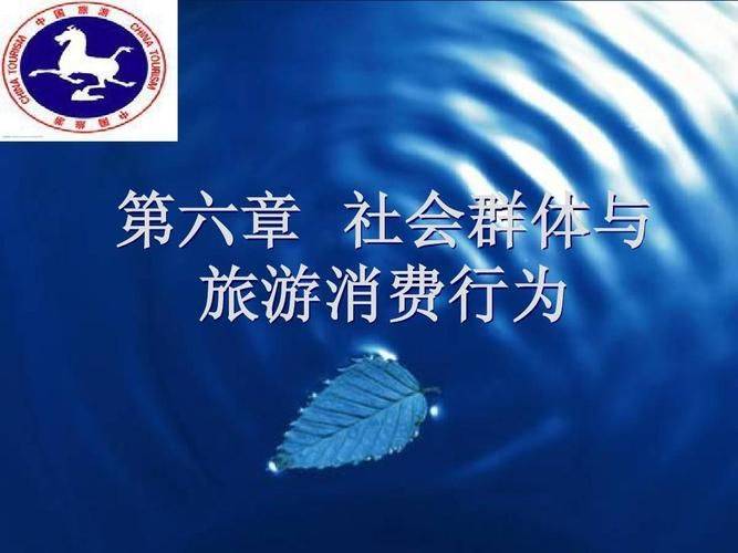 知识产权国际保护论文