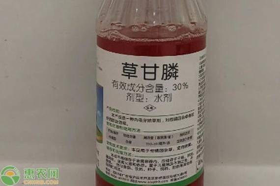 Precious medicine cultivation techniques