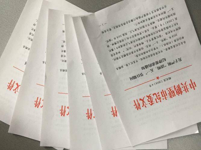 纪律处分条例特点