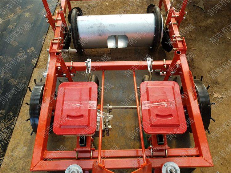 Spinach cultivation methods