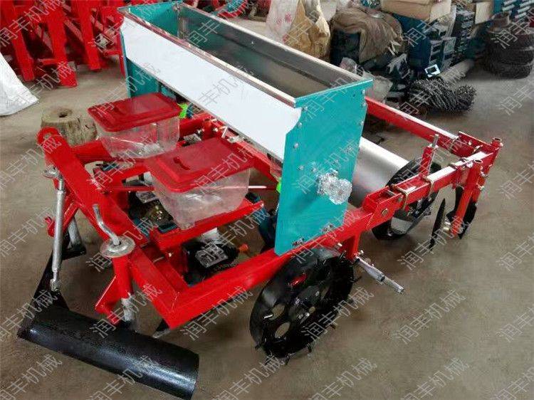 Spinach cultivation methods