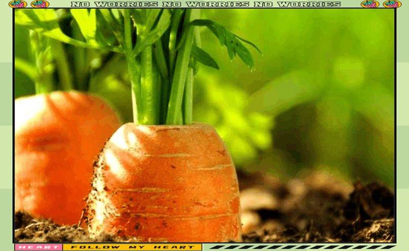 Carrot growing videos and methods
