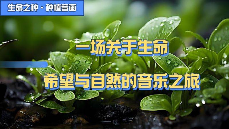 Video of cucumber cultivation techniques
