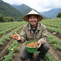 Precious medicine cultivation techniques