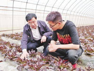 Plankton cultivation methods